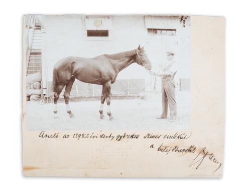 Klösz György: Áruló az 1898. évi derby győztes szives emlékül a tulajdonostól [fénykép]   