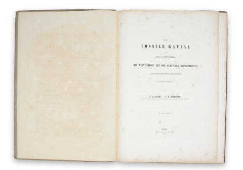 Alton, Eduard d' – Burmeister, Hermann: Der fossile Gavial von Boll in Würtemberg  Halle, 1854. Ch. Graeger. 