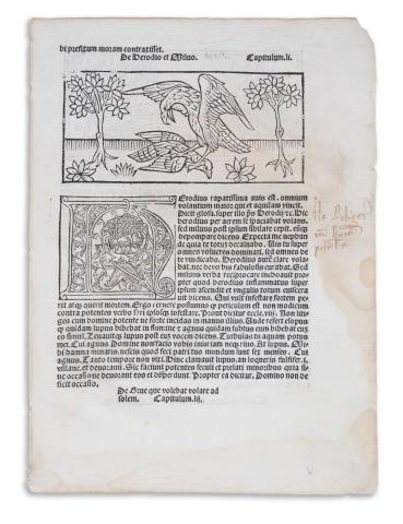 Dialogus creaturarum moralizatus [LII. fol.]  Lyon, 1511. Claude Nourry. 