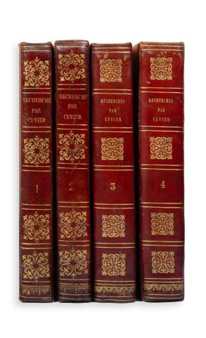 Cuvier, Georges: Recherches sur les ossemens fossiles de quadrupèdes …I-IV. kötet  Paris, 1812. Deterville. 