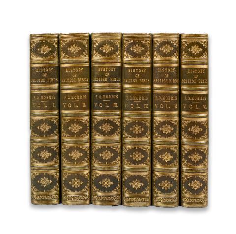Morris, Francis Orpen: A History of British Birds. By the Rev. F. O. Morris I-VI. Vol. Complet  London, 1866-67, Groombridge and Sons [B. Fawcett engraver & printer] 